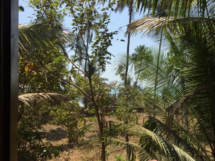 Sunshine Service Villa Kannur Exterior photo